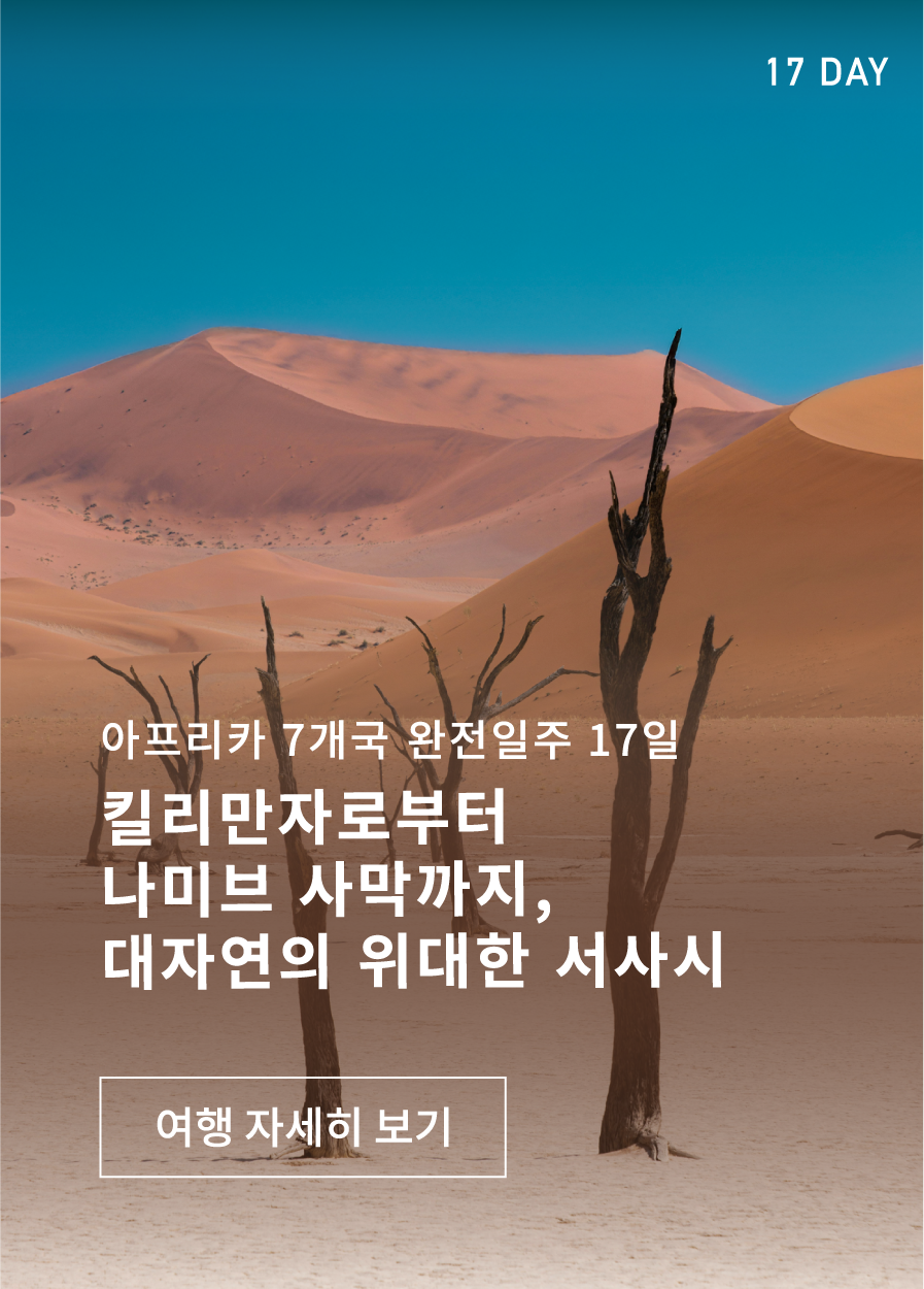 킬리만자로부터 나미브사막까지 - 아프리카 완전일주