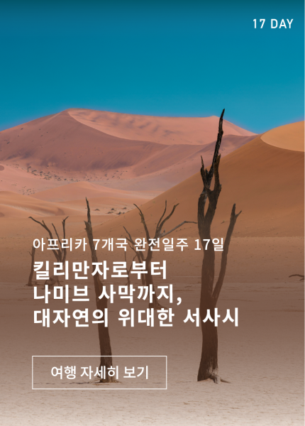 킬리만자로부터 나미브사막까지 - 아프리카 완전일주