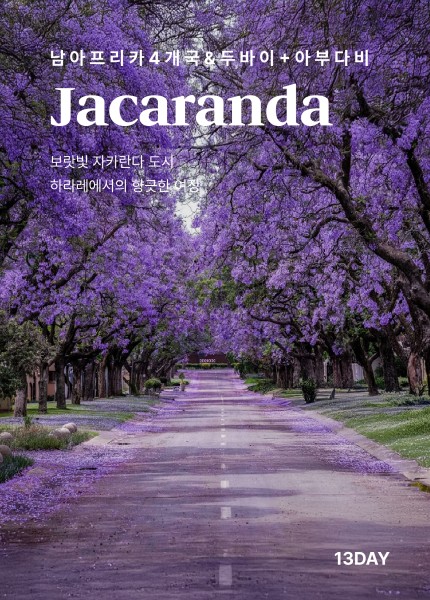 남아프리카 4개국 + 두바이 아부다비 13일(품격)
