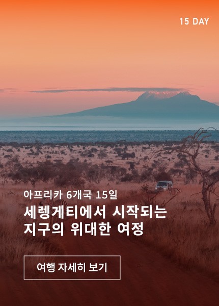 고품격 아프리카 6개국 15일